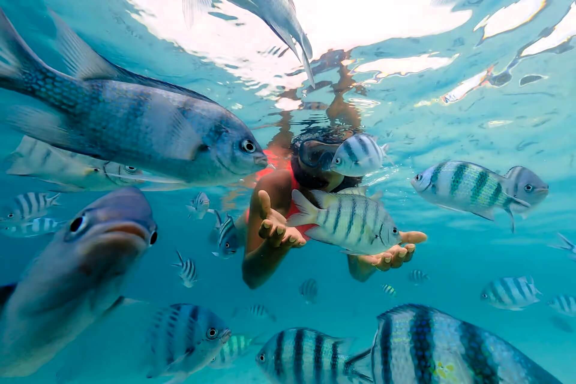 mnemba_island_snorkeling_tour_04