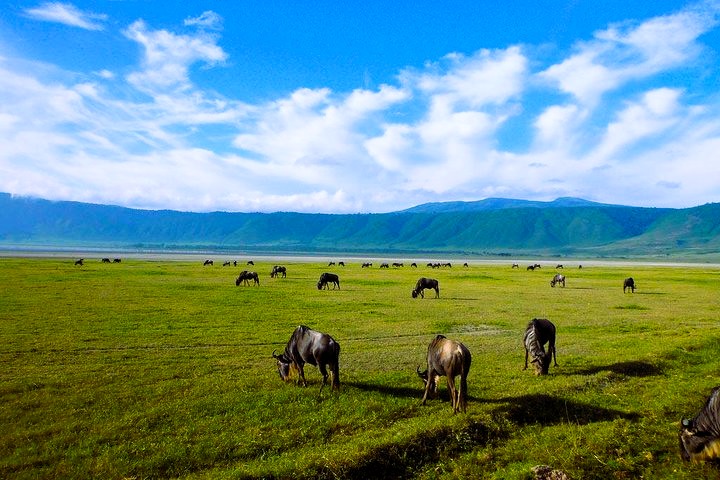 ngorongoro_safari_02
