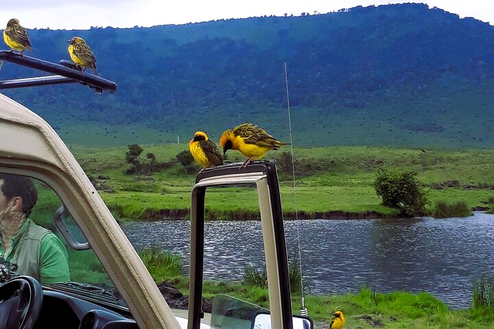 ngorongoro_safari_03