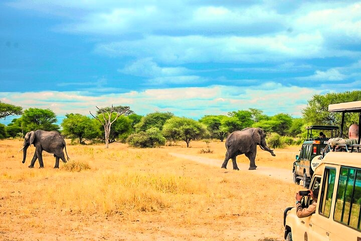 selous_day_trip_safari_03