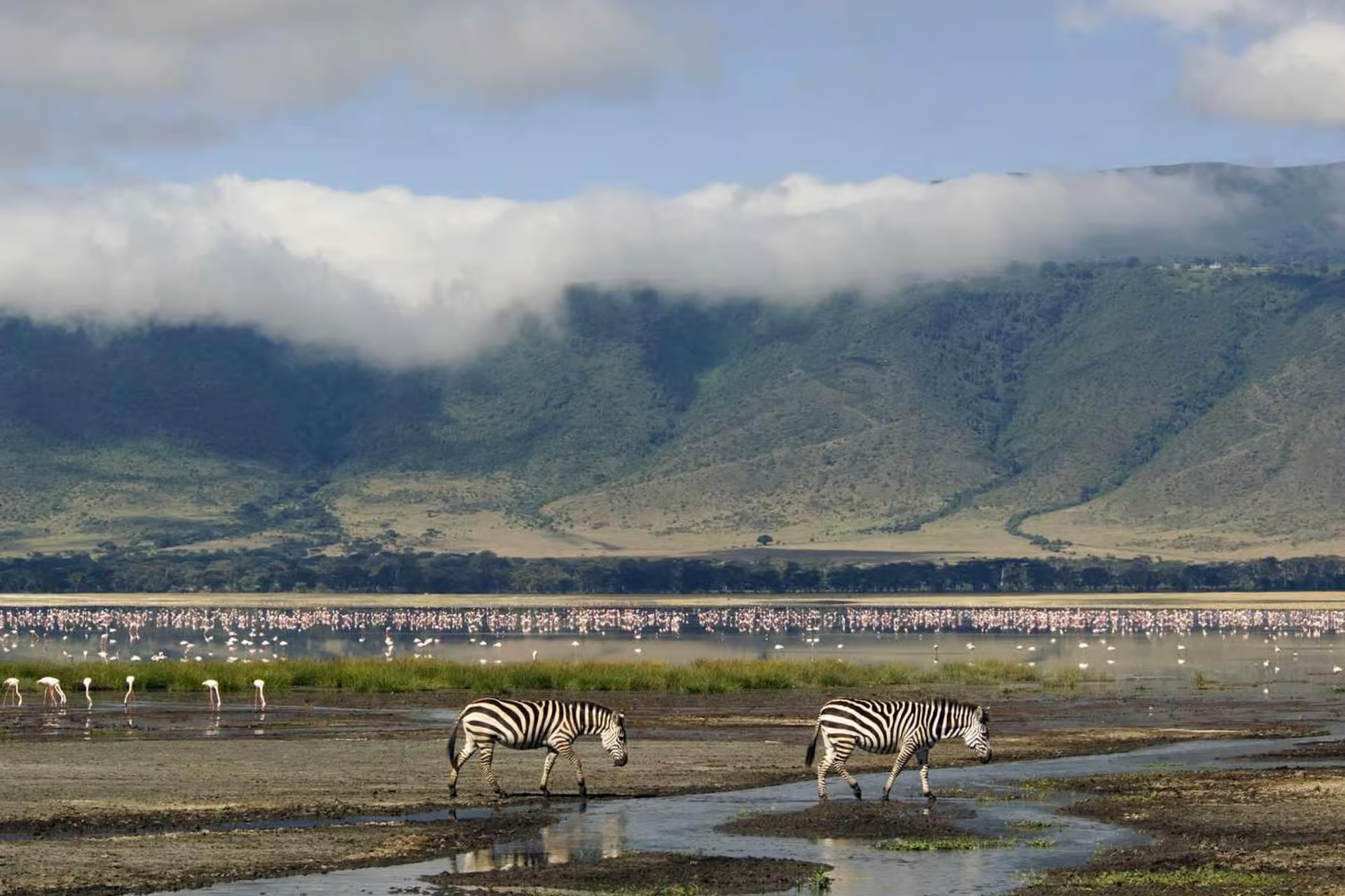 serengeti_day_trip_04