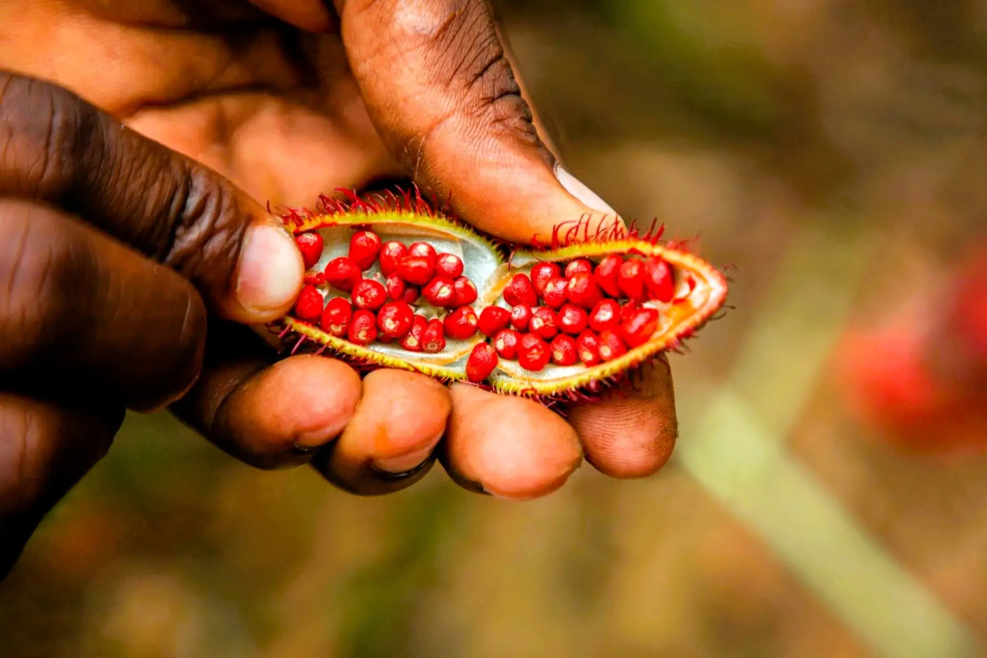village_spice_farm_tour_03